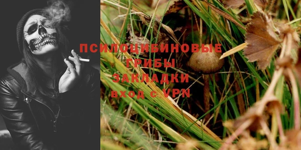 твердый Белоозёрский