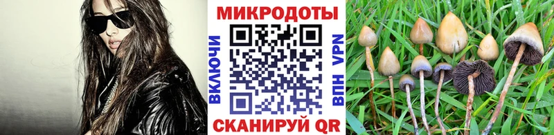 Купить где  Баксан  Галлюциногенные грибы Magic Shrooms 